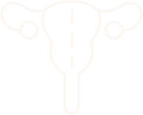 uterus icon